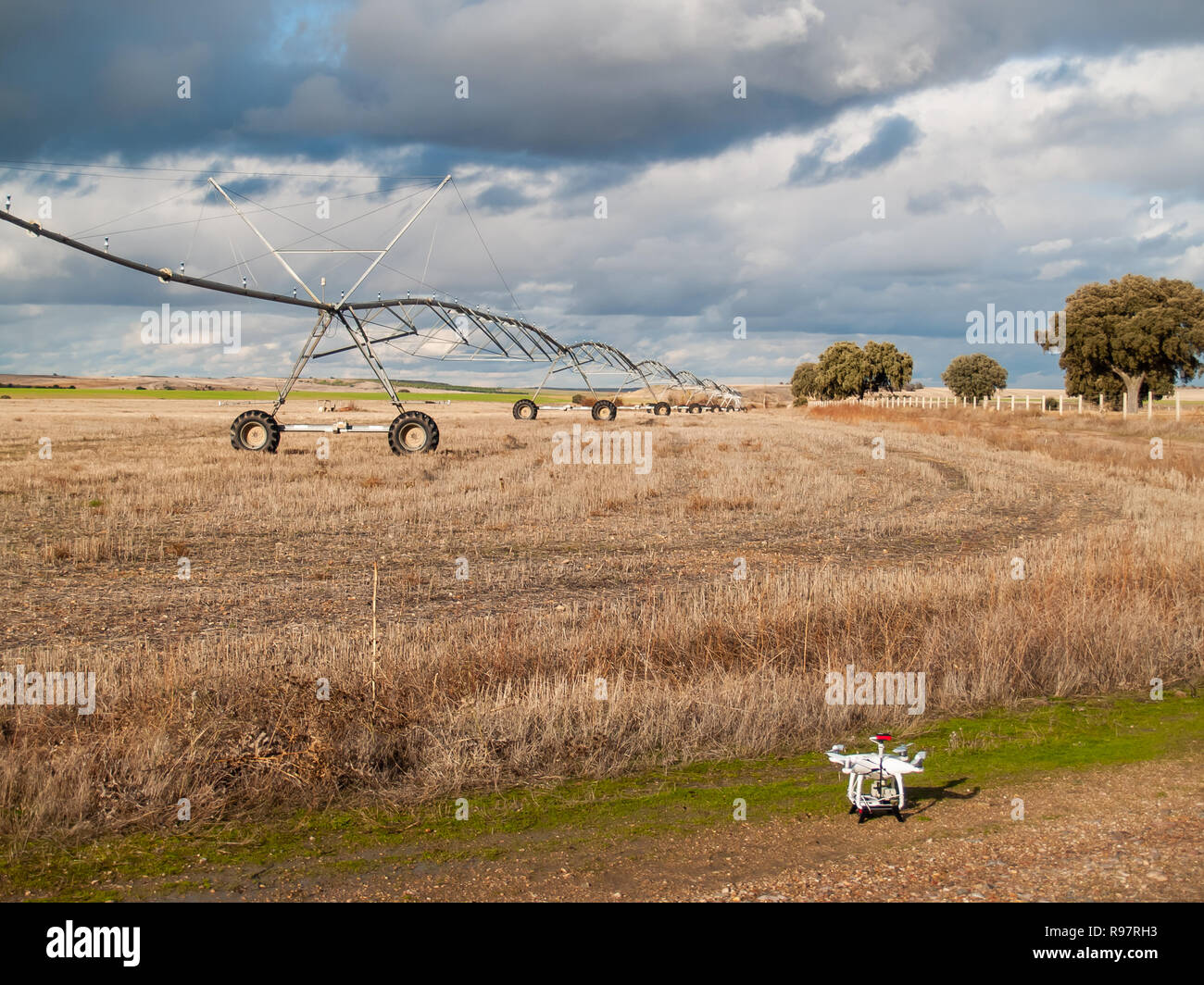 A drone next to a crop field with a pivot irrigation system in autumn on a cloudy day Stock Photo