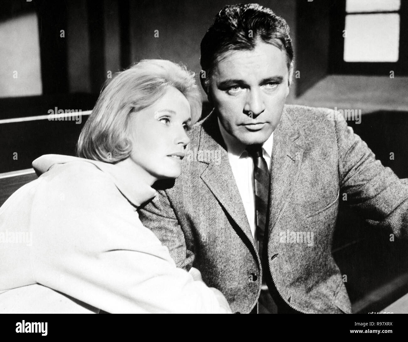 Original film title THE SANDPIPER. English title THE SANDPIPER. Year