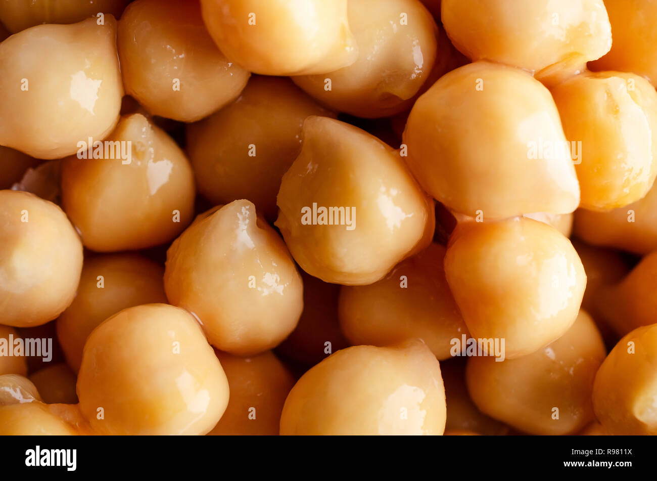 Close up of chickpeas (garbanzo beans), drained and wet, filling frame as food background. Stock Photo