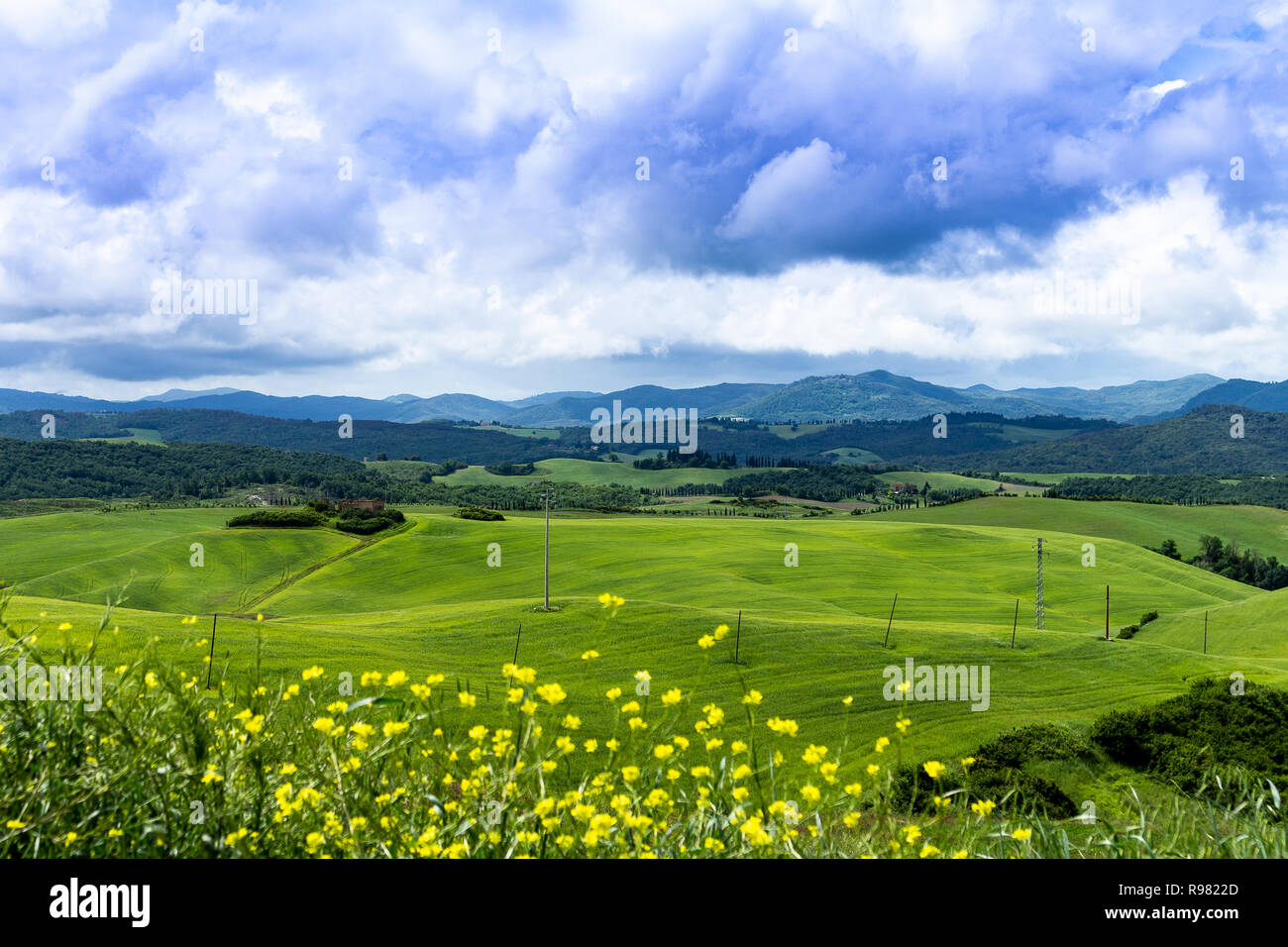 Tuscan wild flowers hi-res stock photography and images - Alamy