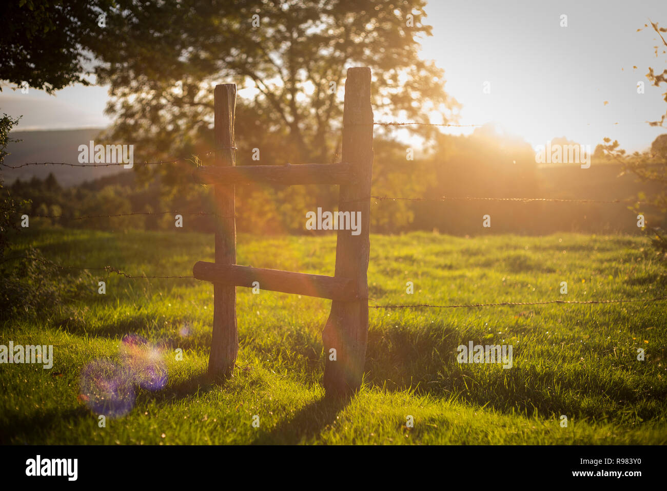 Moment of quiet contemplation in nature hi-res stock photography and ...
