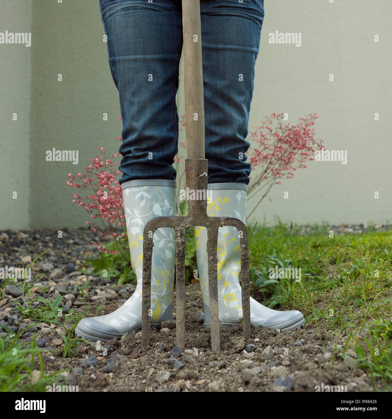 Woman gardener digging in soil with garden fork wearing in rubber boots Stock Photo