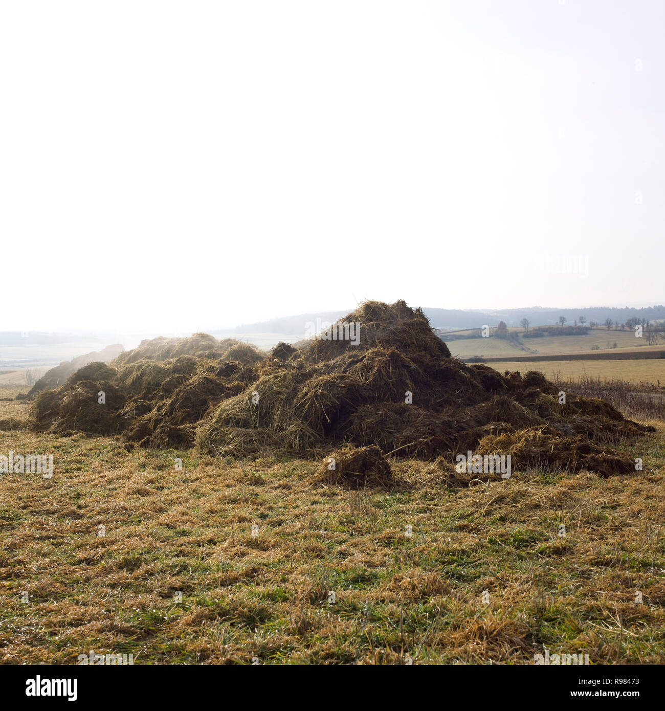 Natural fertilizer manure heap , Auvergne Rhone Alpes, france Stock Photo