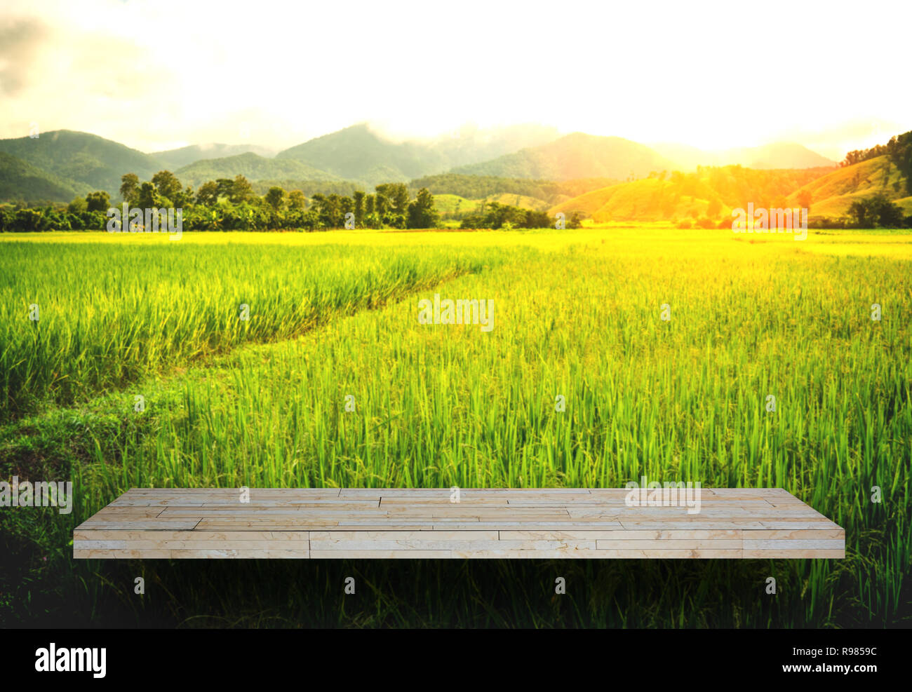 Rock shelf hires stock photography and images Alamy