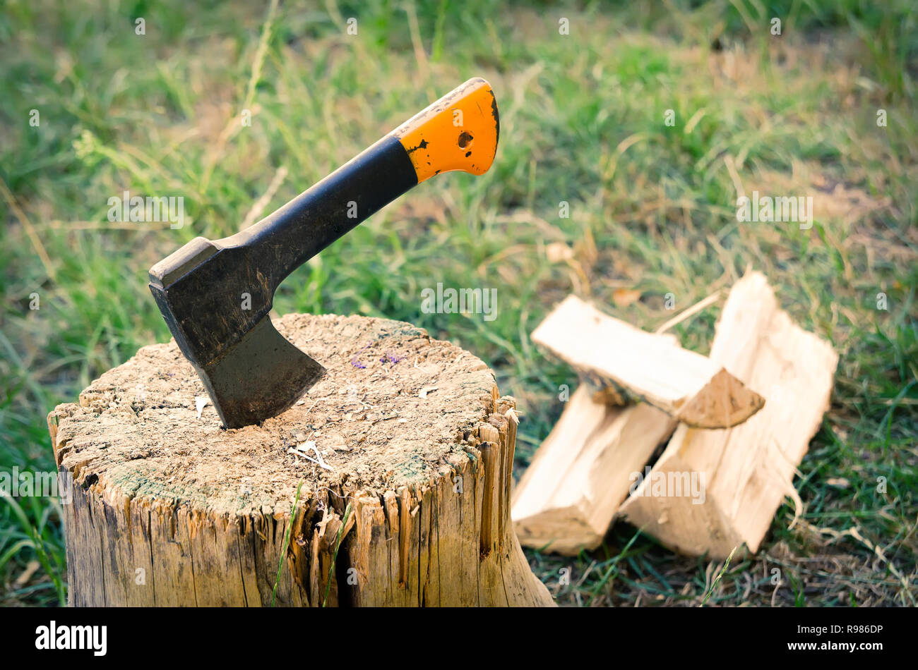 old ax in a stump Stock Photo