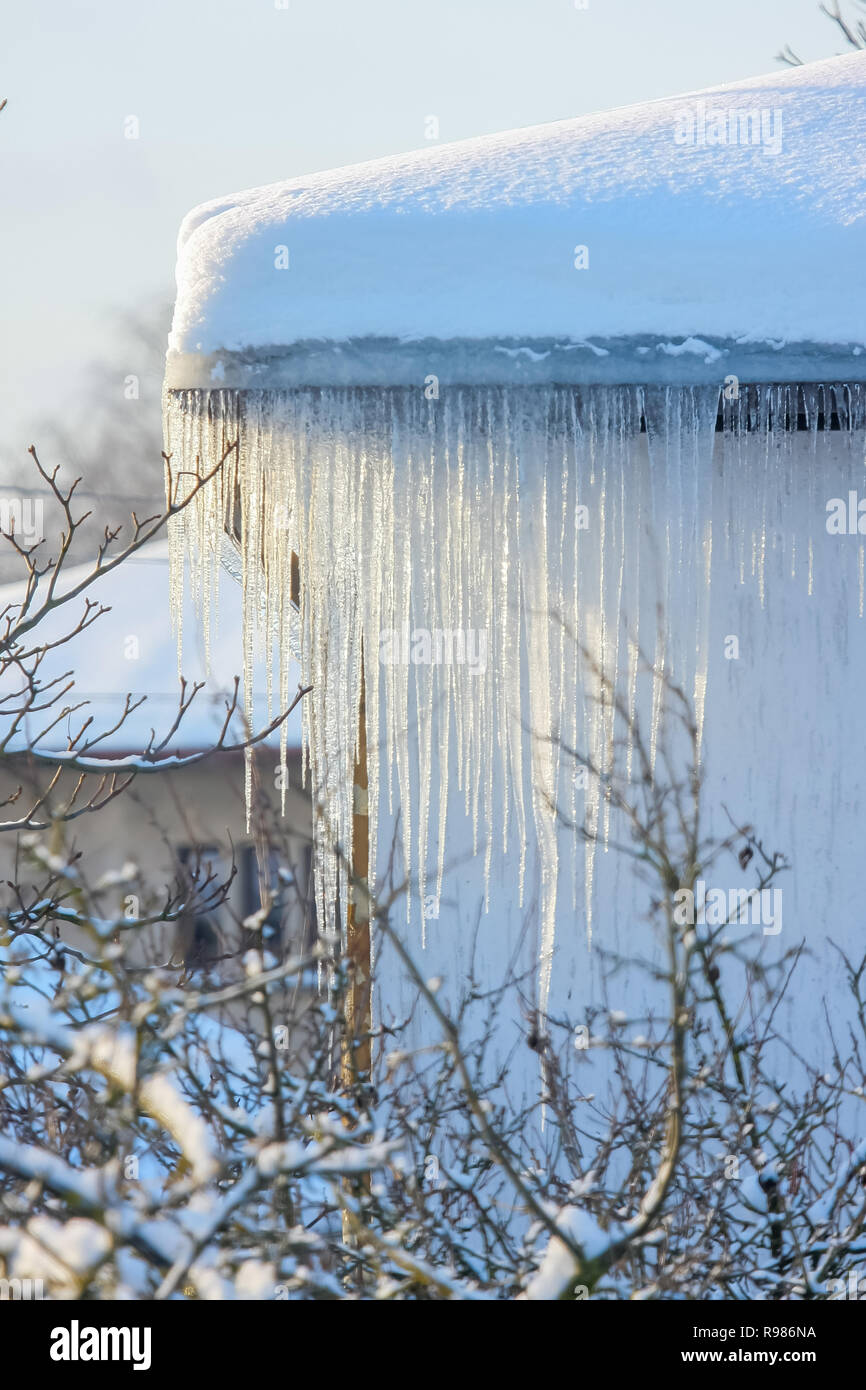 The Roof Of A House Covered With Snow And Icicles Icicles Hanging From Roof Winter In Latvia White Snow On The Roof And Icicles Hanging From A Slat Stock Photo Alamy