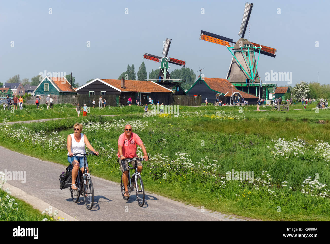 Man and woman riding their bikes along traditional dutch windmills at Zaanse Schans in Netherlands Stock Photo