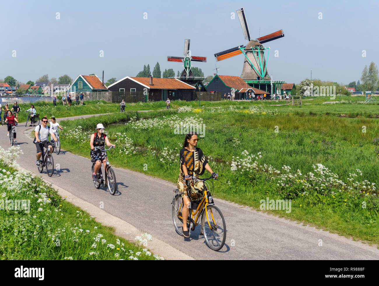 Tourists cycling along traditional dutch windmills at Zaanse Schans in Netherlands Stock Photo