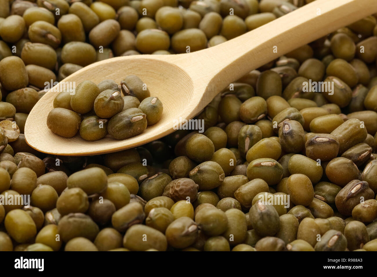 Mung beans plant hi-res stock photography and images - Alamy