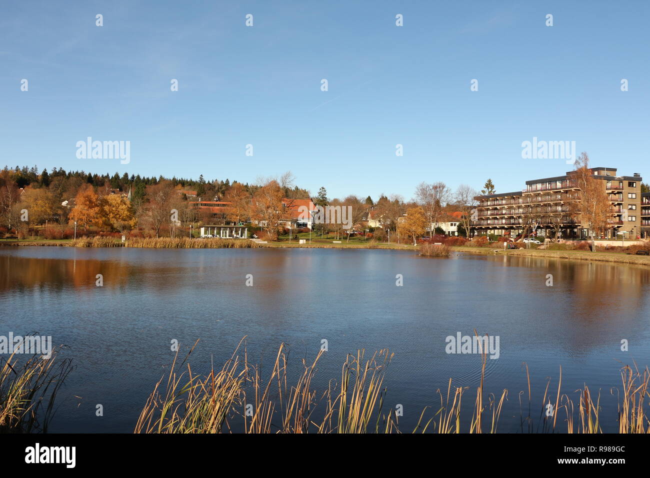 Herbst In Harz High Resolution Stock Photography and Images - Alamy