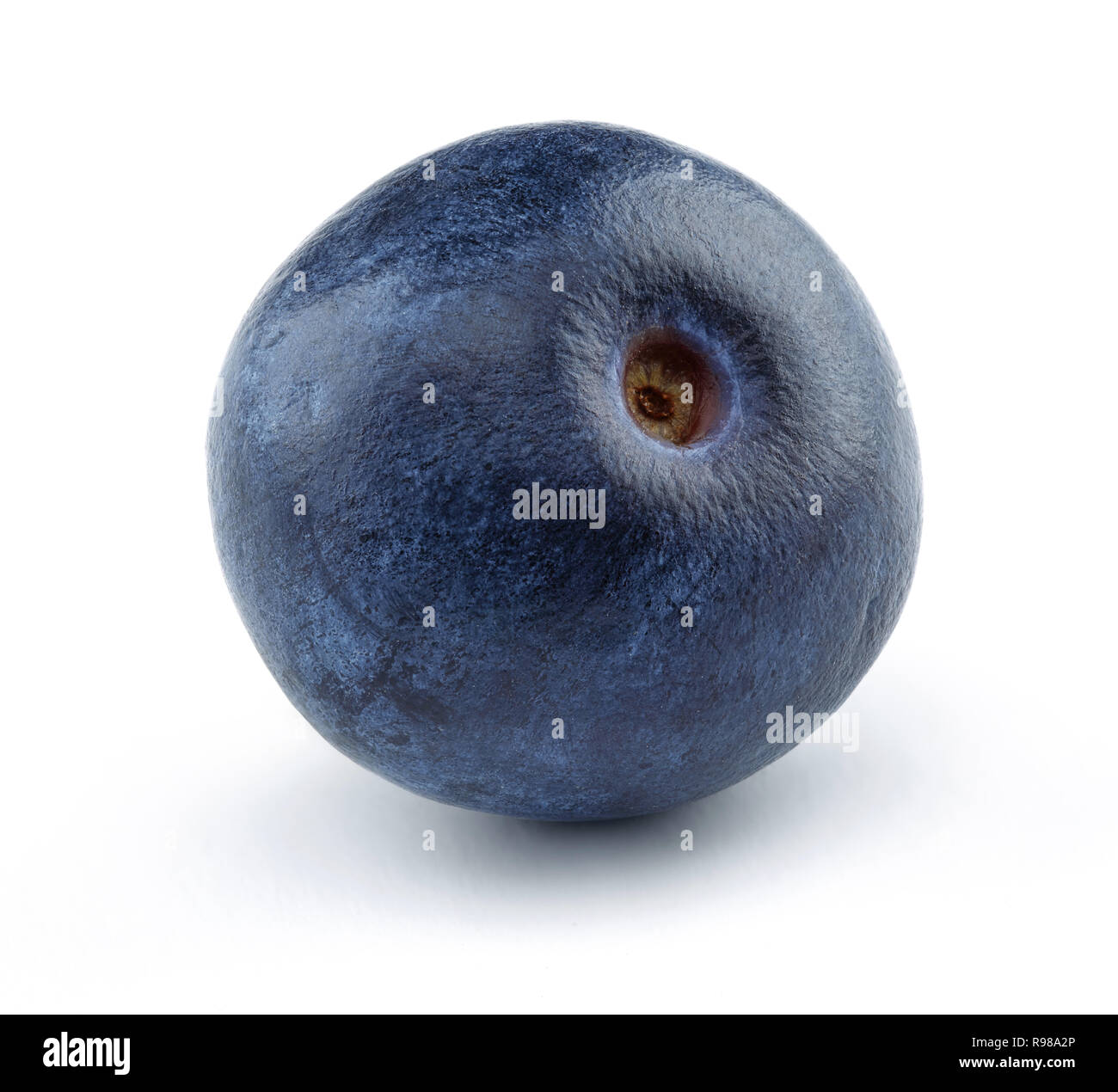 Single blueberry isolated on white background. Macro, studio shot Stock Photo