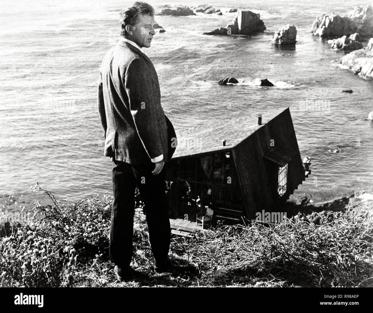 Original film title THE SANDPIPER. English title THE SANDPIPER. Year