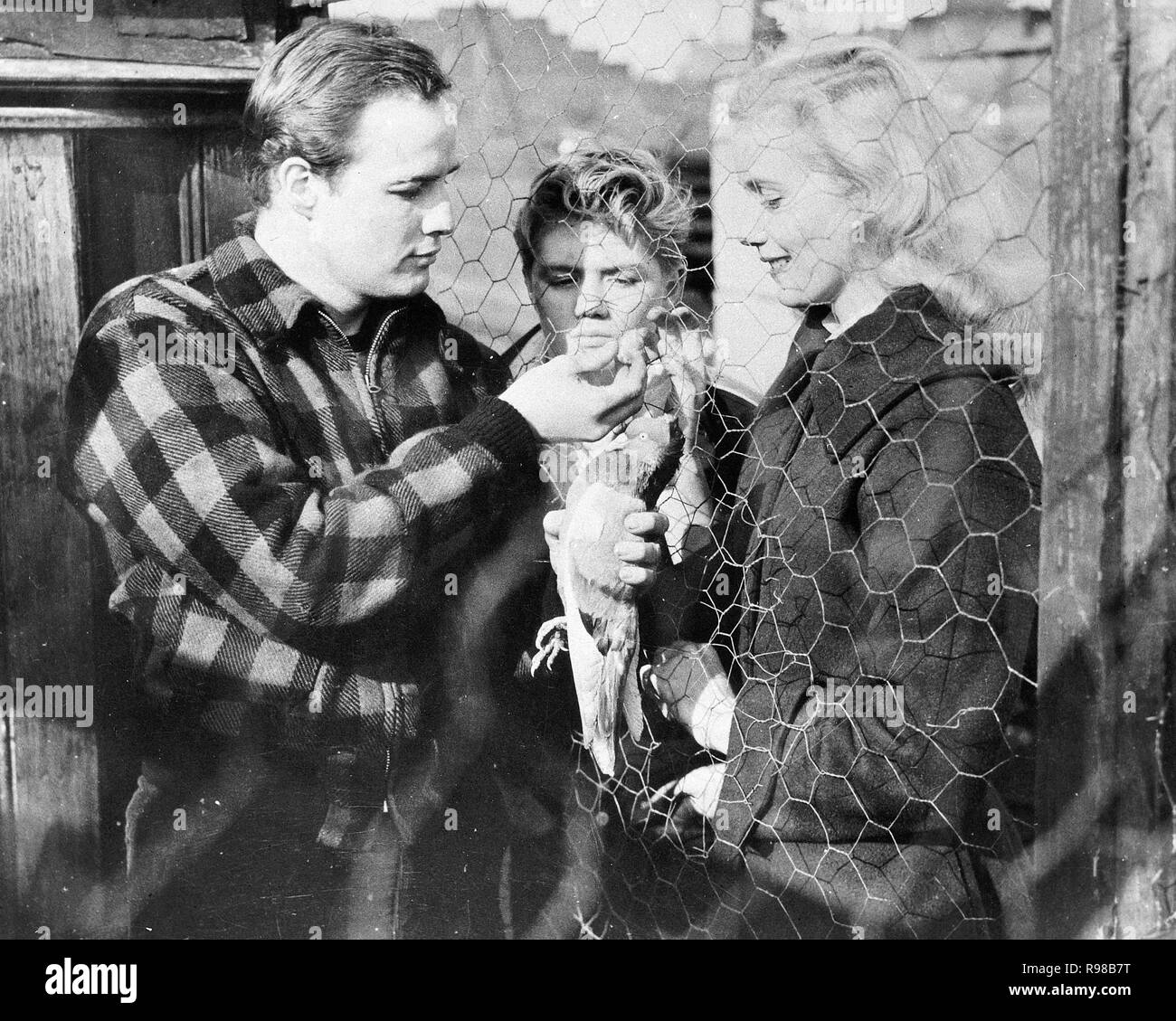 Original film title: ON THE WATERFRONT. English title: ON THE ...