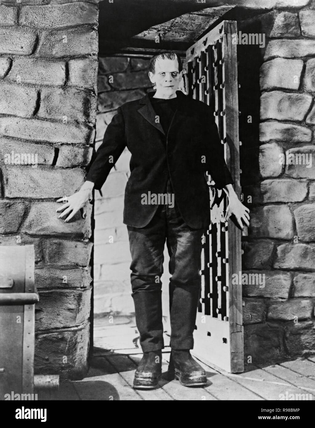 Original Film Title: FRANKENSTEIN. English Title: FRANKENSTEIN