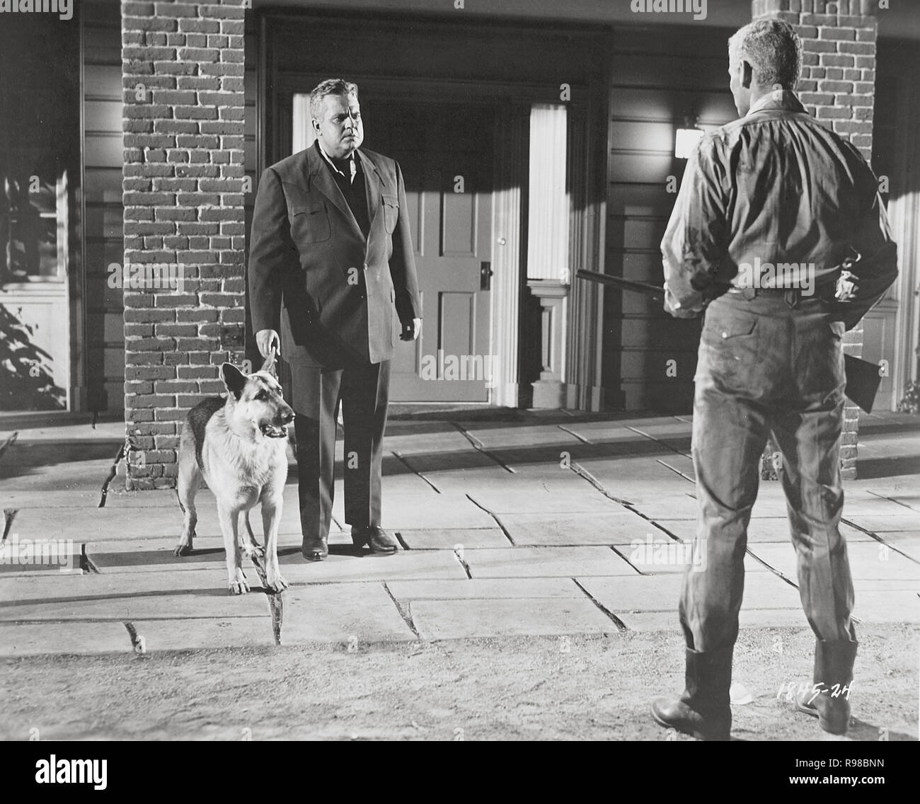 Original Film Title Man In The Shadow English Title Man - 