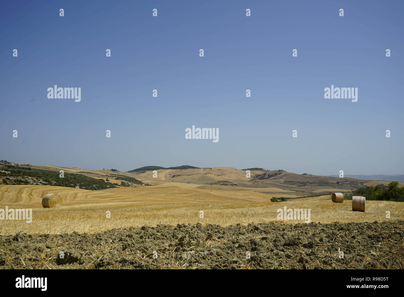 Country landscape with hay bales Stock Photo - Alamy
