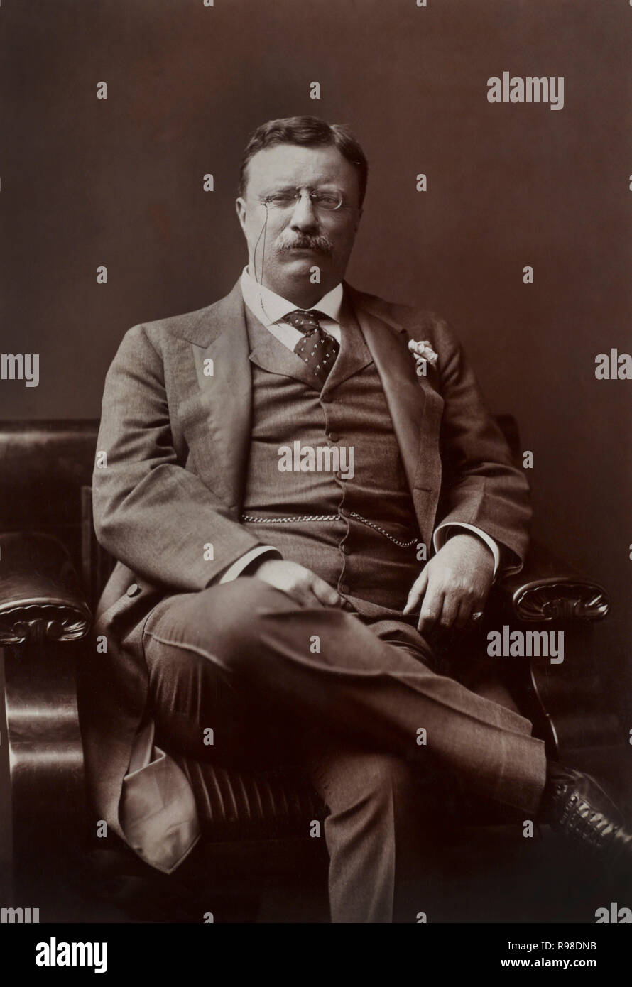 U.S. President Theodore Roosevelt, Seated Portrait, Washington DC, USA, by Barnett McFee Clinedinst, 1906 Stock Photo