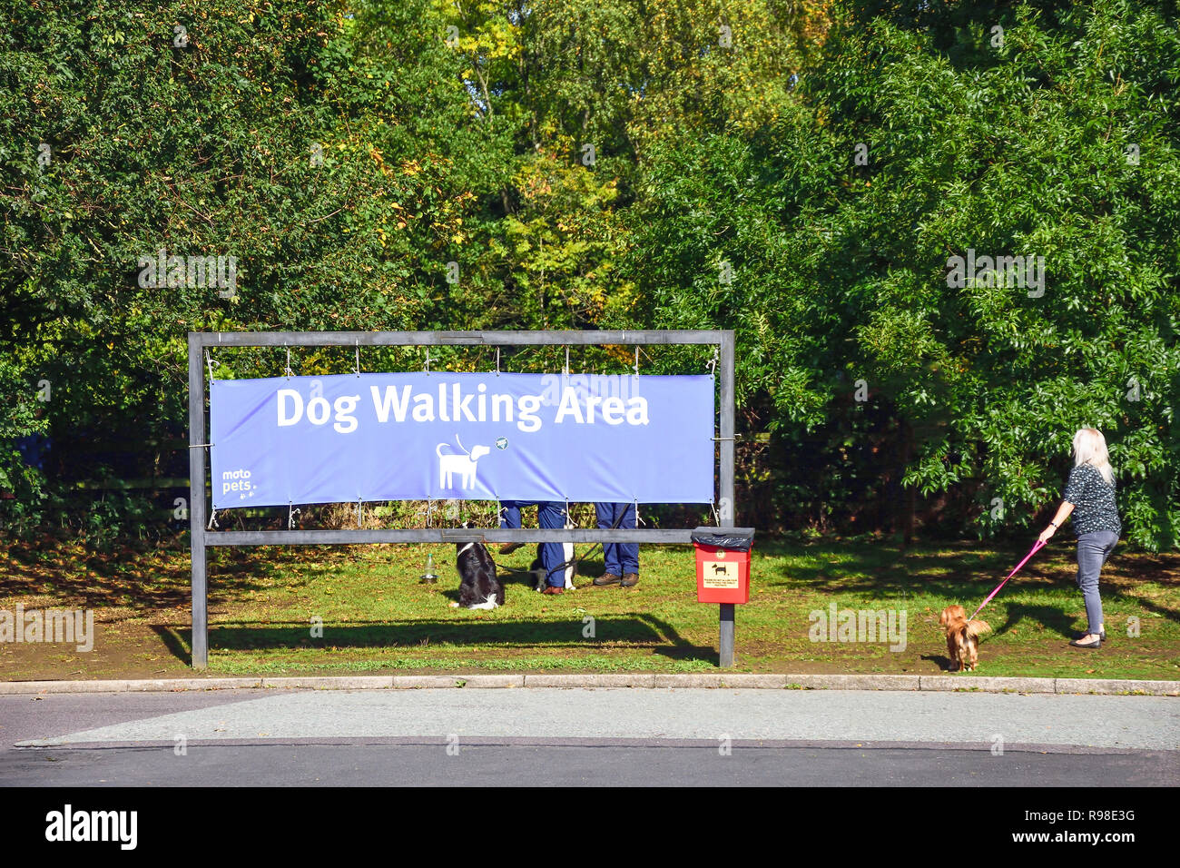 Dog walking area at Moto Leigh Delamere West Motorway Services (M4), Leigh Delamere, Wiltshire, England, United Kingdom Stock Photo