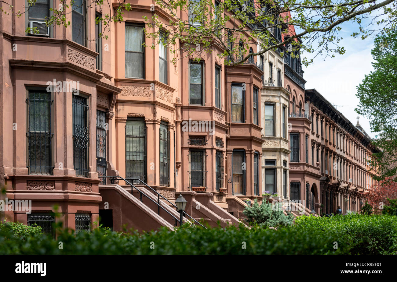 Stately and beautiful brownstone homes along a street in Brooklyn New