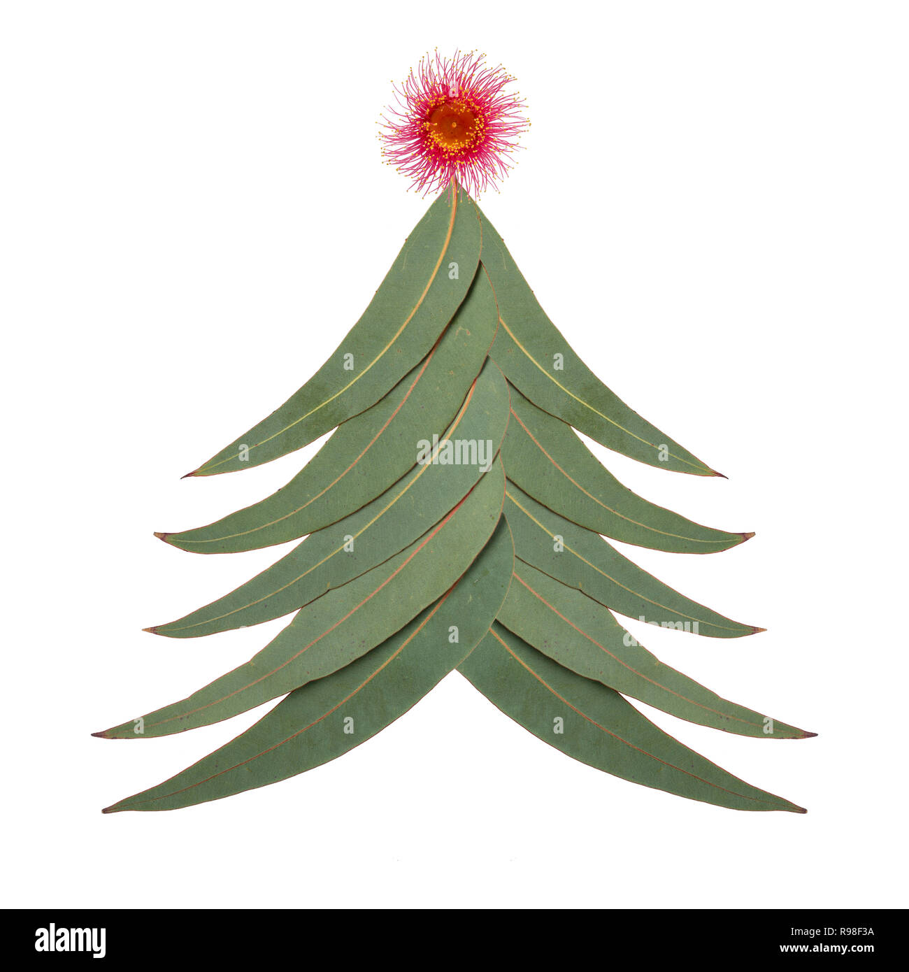 An Aussie Christmas tree made up of Australian gum tree leaves with a