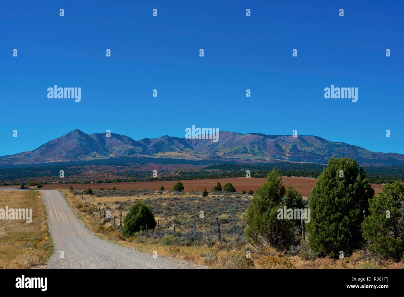 Abajo mountains hires stock photography and images Alamy
