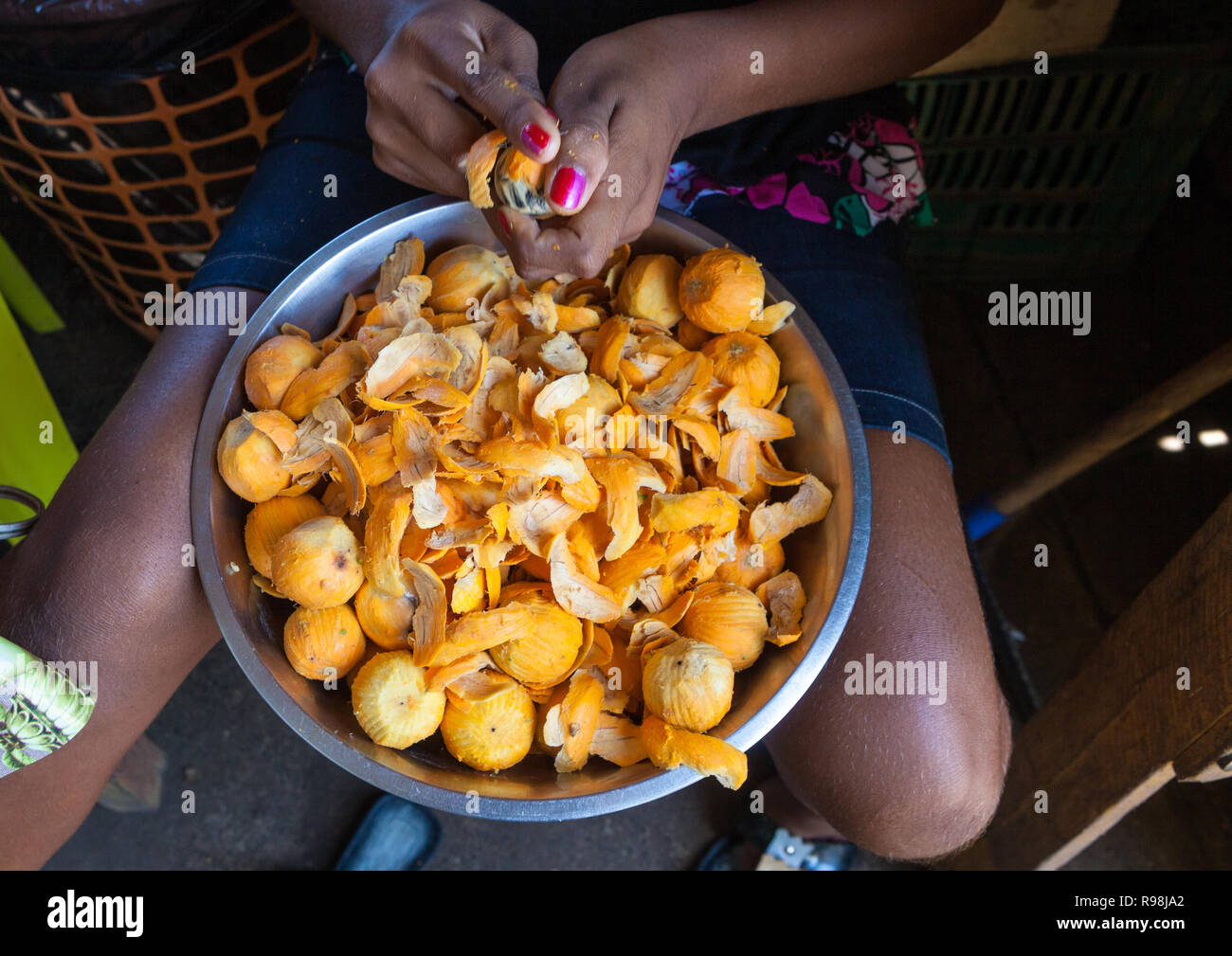 Close up of woman hand peeling fruit 'Tucumã', with metal bowl full of peeled fruits in a market in amazon. This fruit is very consumed in the Amazon. Stock Photo