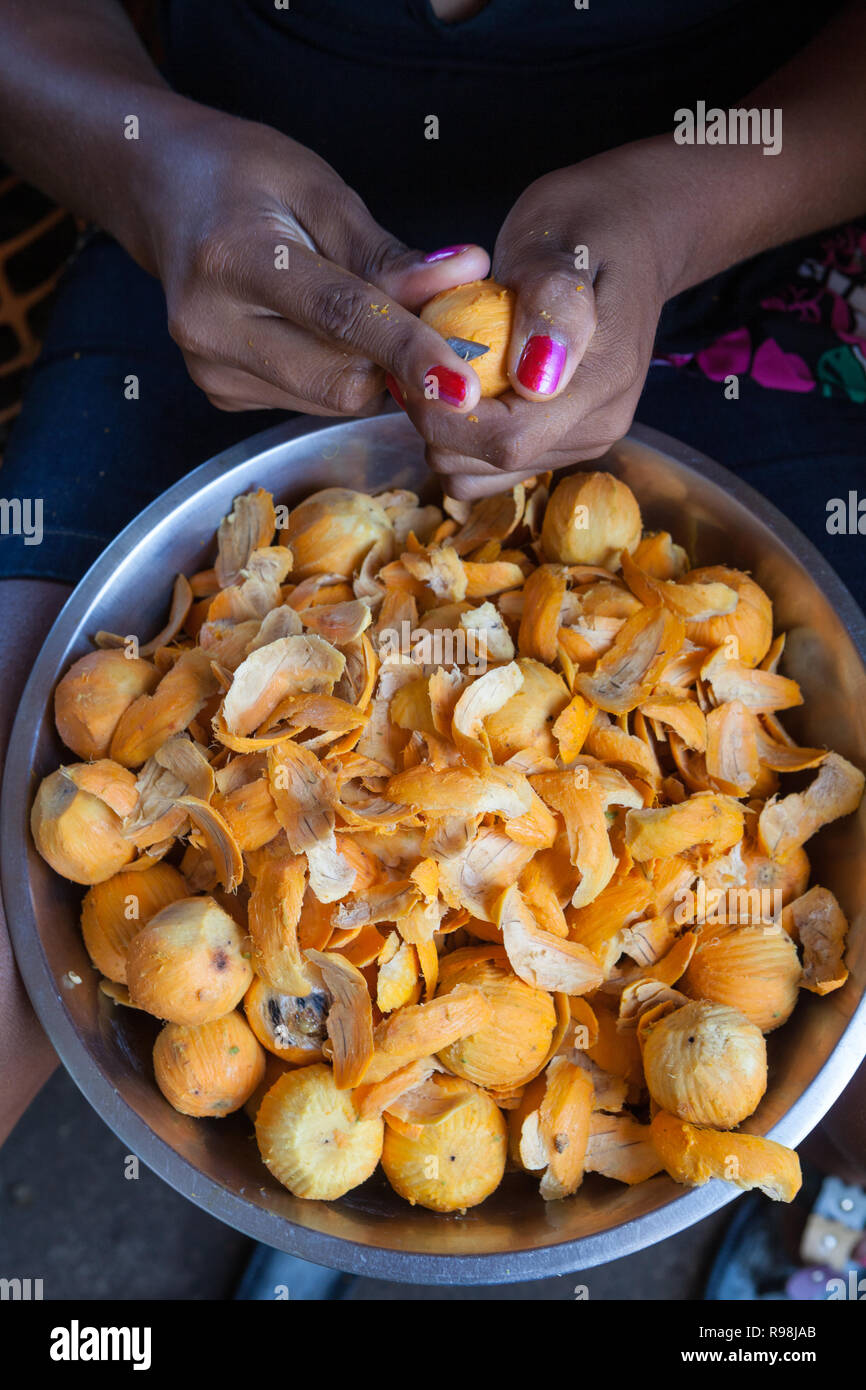 Close up of woman hand peeling fruit 'Tucumã', with metal bowl full of peeled fruits in a market in amazon. This fruit is very consumed in the Amazon. Stock Photo