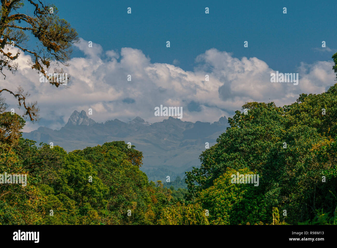 Batian Peak, Mount Kenya seen from Kamweti Forest, Kenya Stock Photo ...