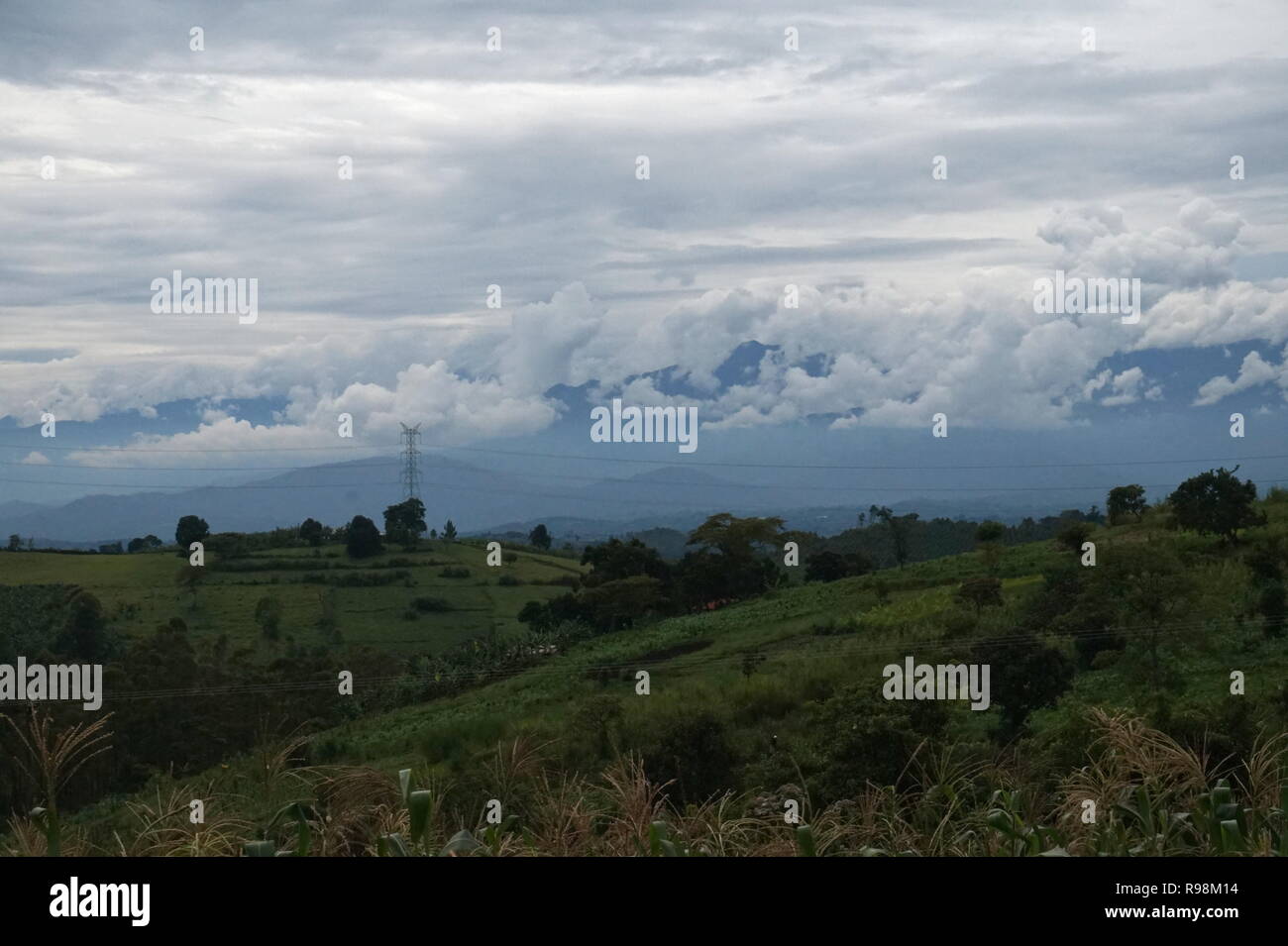 Farmland in southern Uganda Stock Photo Alamy