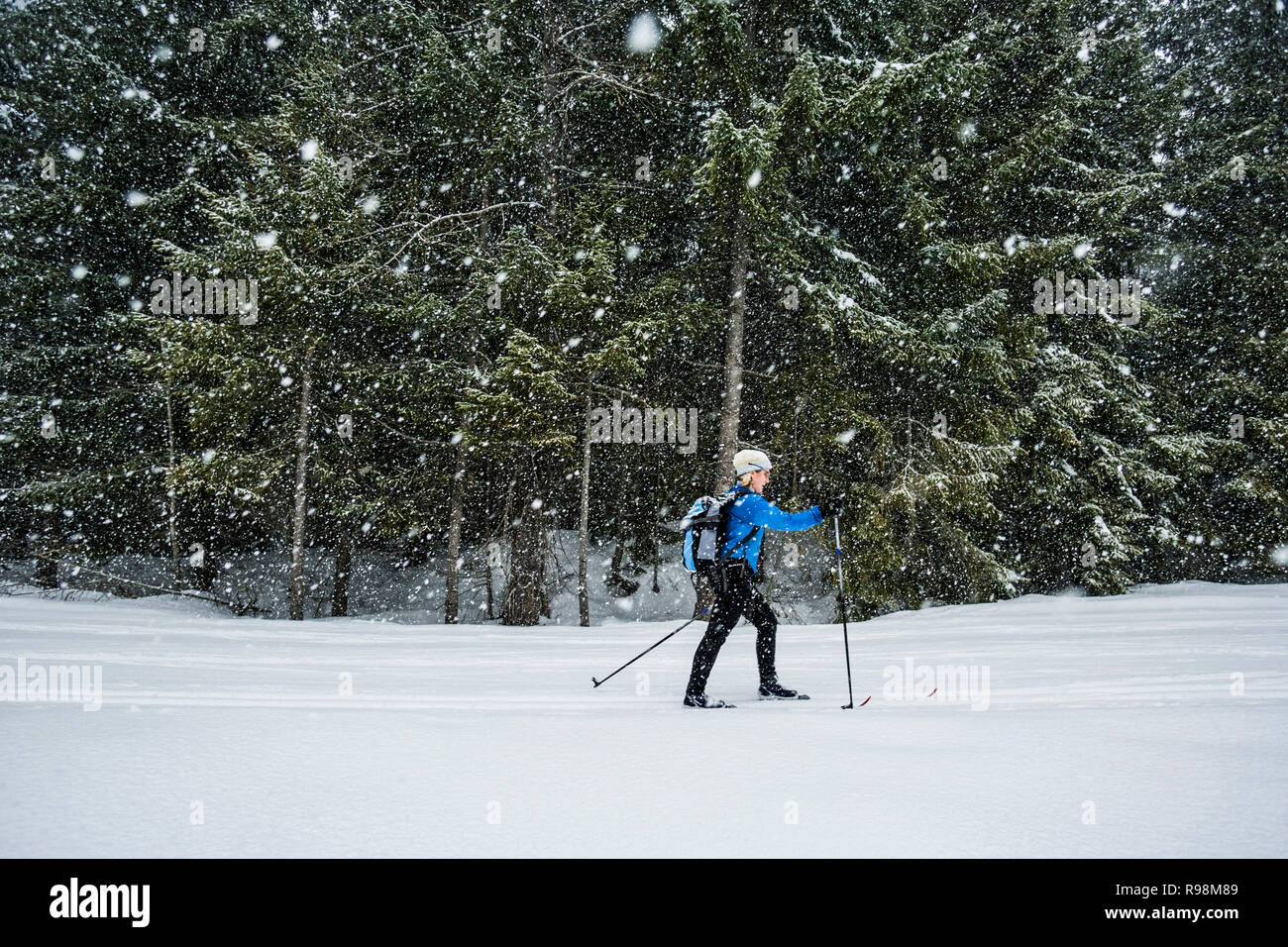 Woman Cross Country Skiing In A Snow Storm At Cabin Creek Snow