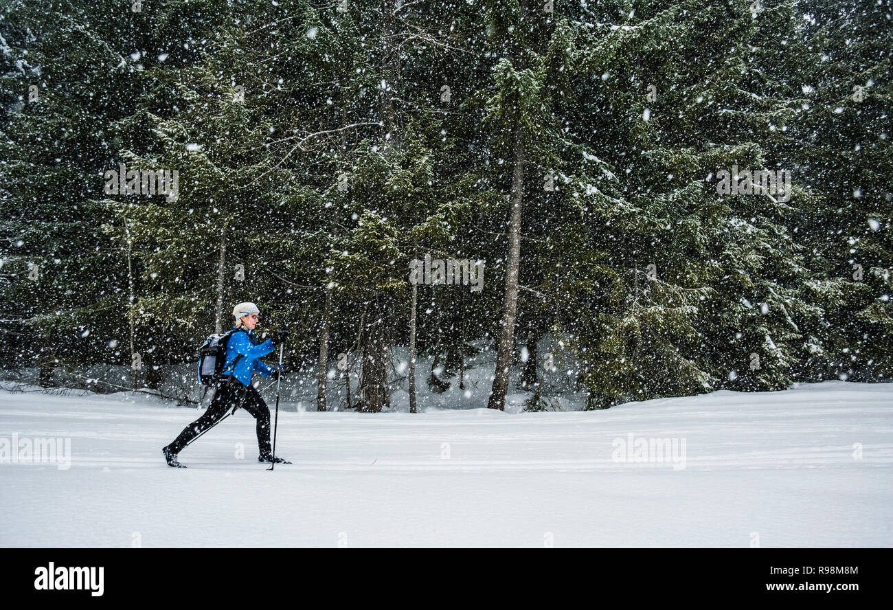 Woman Cross Country Skiing In A Snow Storm At Cabin Creek Snow