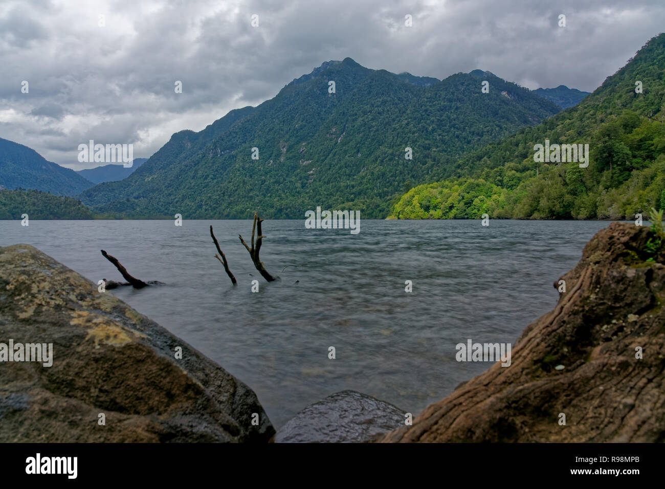 shore of the Sargazo lagoon, in the Alerce Andino National Park Stock Photo
