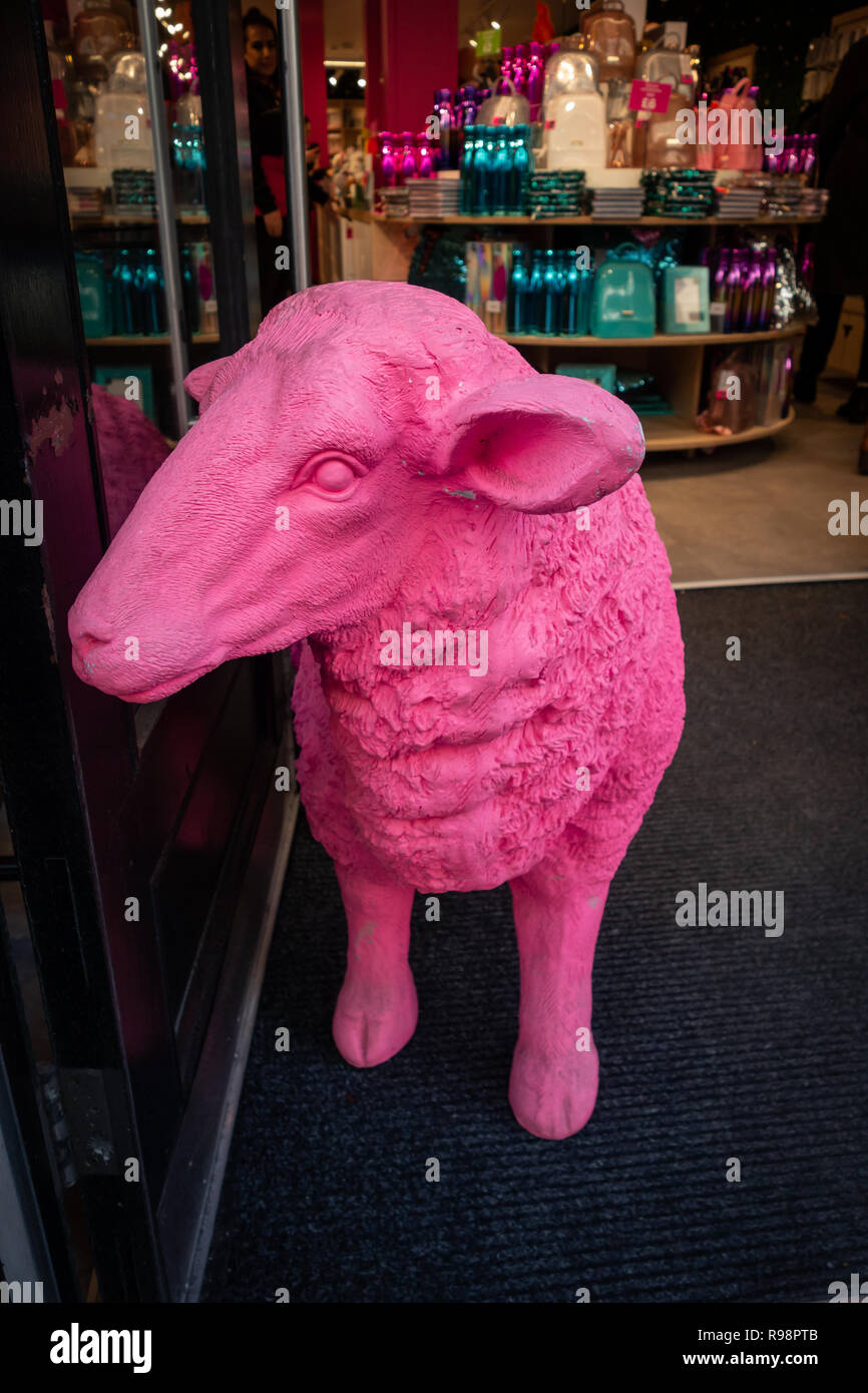 A large Pink Sheep in the shop doorway of a shop called Neon Sheep on