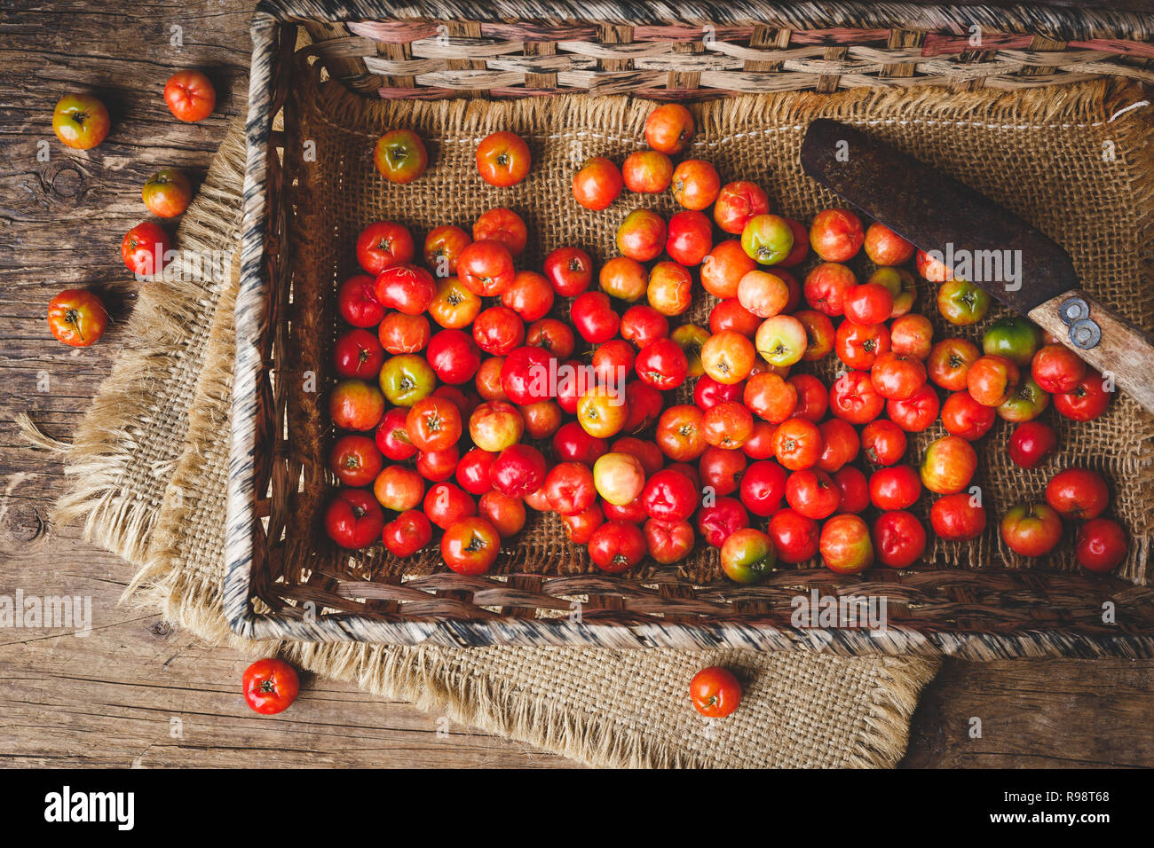 Barbados Cherry fruits Stock Photo - Alamy