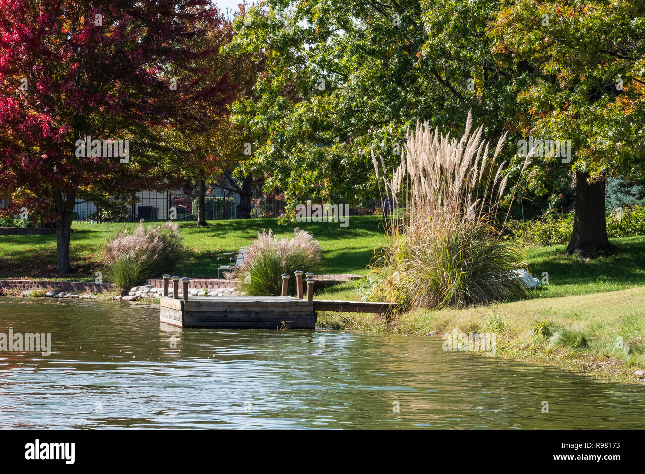 A small private lake or pond with with pampas grass and boat or fishing