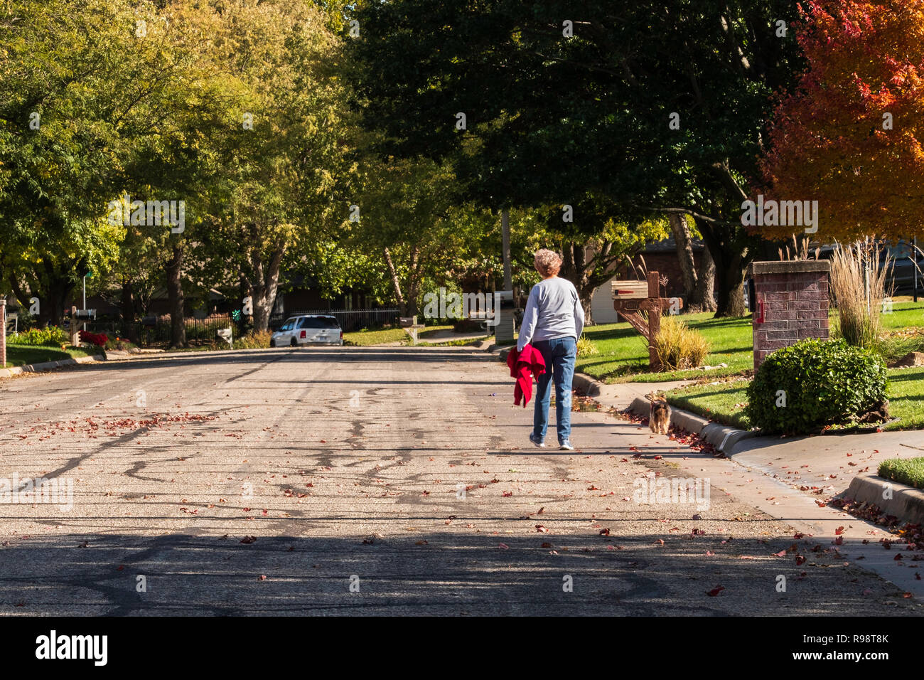 A senior adult woman walking and exercising herself and her dog in autumn on a neighborhood street. USA Stock Photo