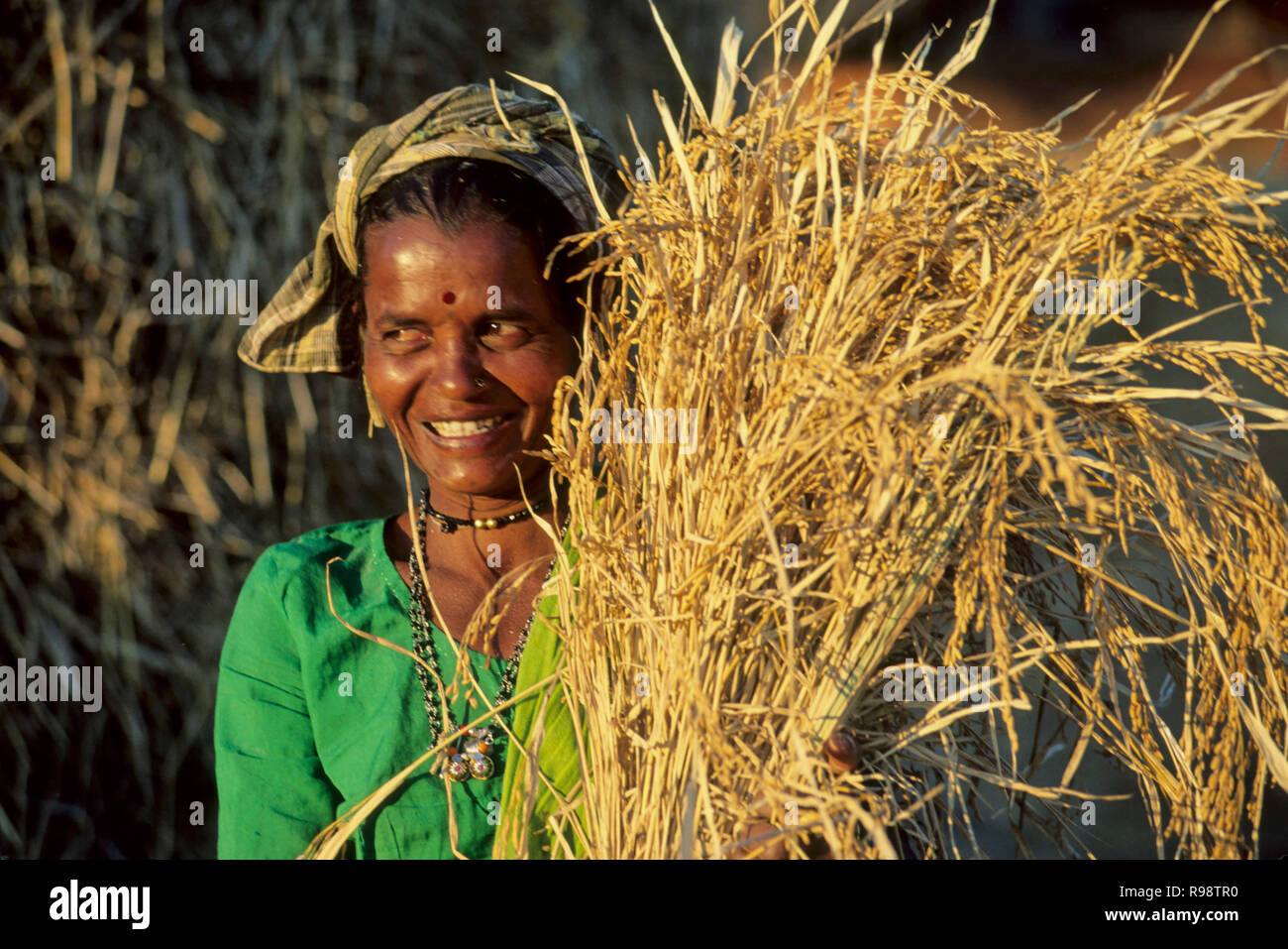 Women's Sugar Crop main image 0