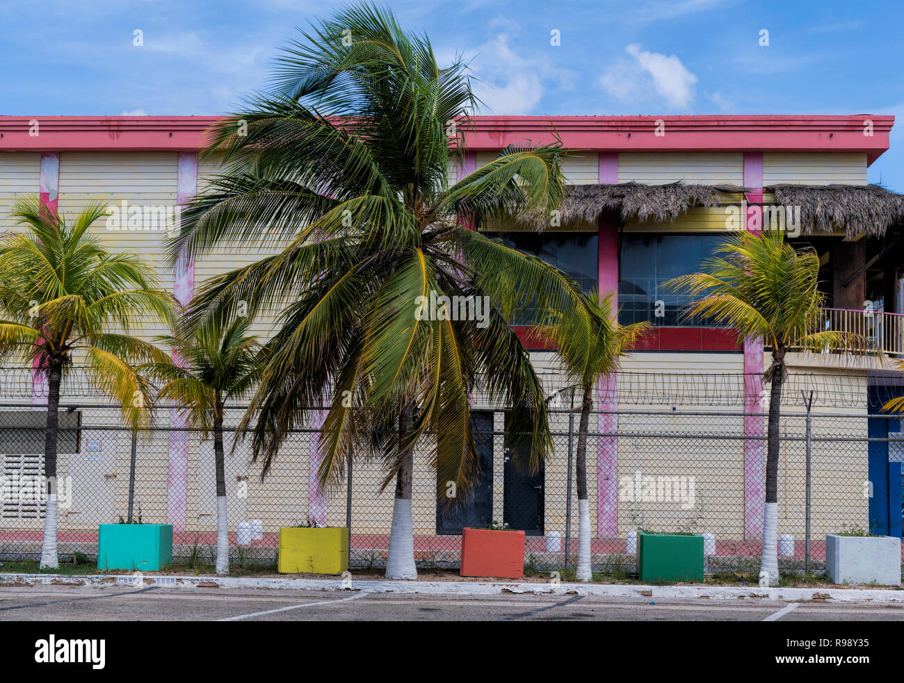 Oranjestad Port palm trees and colourful plant pots Aruba Stock Photo