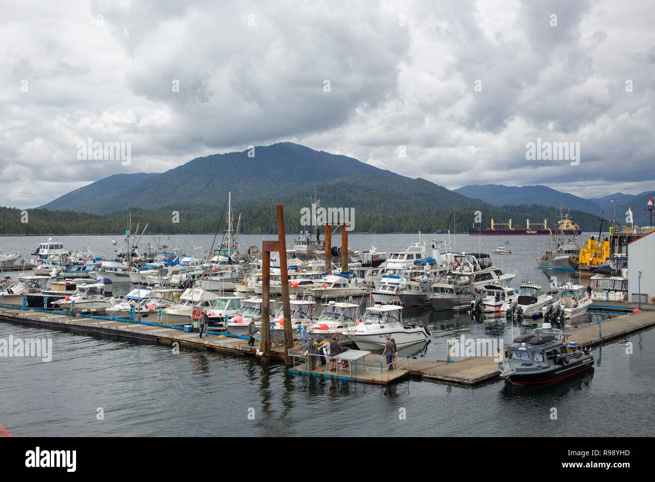 View of the Cow Bay Marine harbor in Prince Rupert, BC Stock Photo Alamy