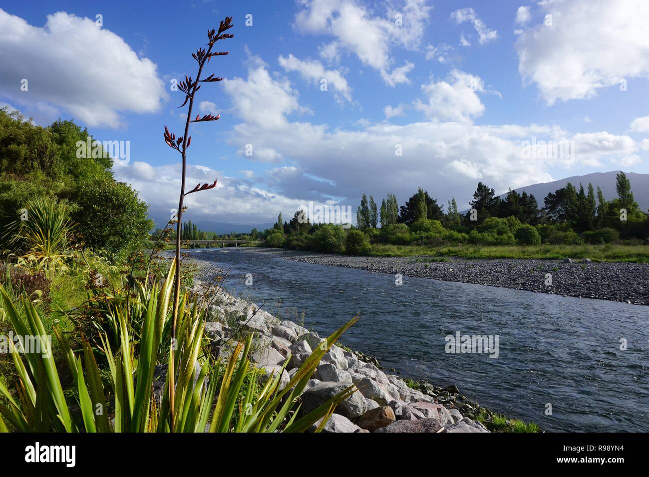 Picturesque Tongariro River Landscape at Turangi, North Island, New Zealand Stock Photo