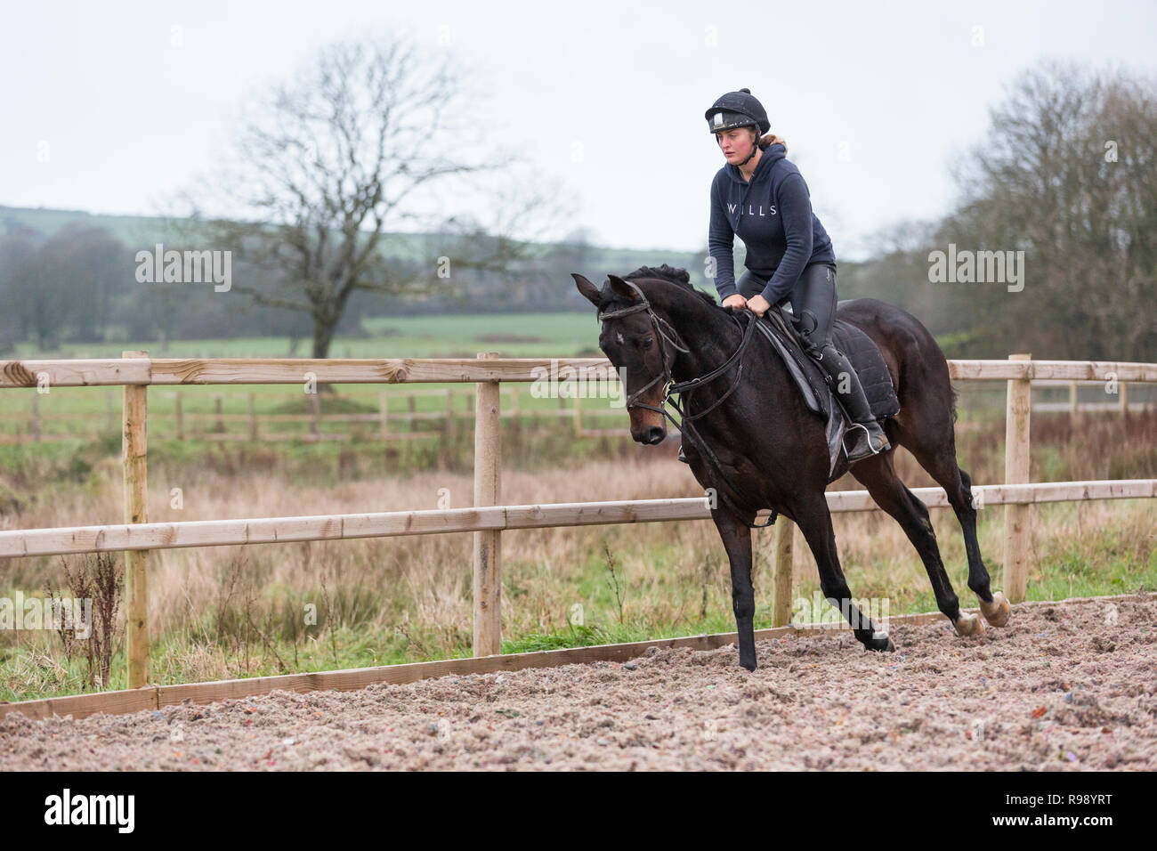 Woman rider exercising a horse at a racing stables in the countryside at Peter Bowen Stables in Pembrokeshire, Wales Stock Photo