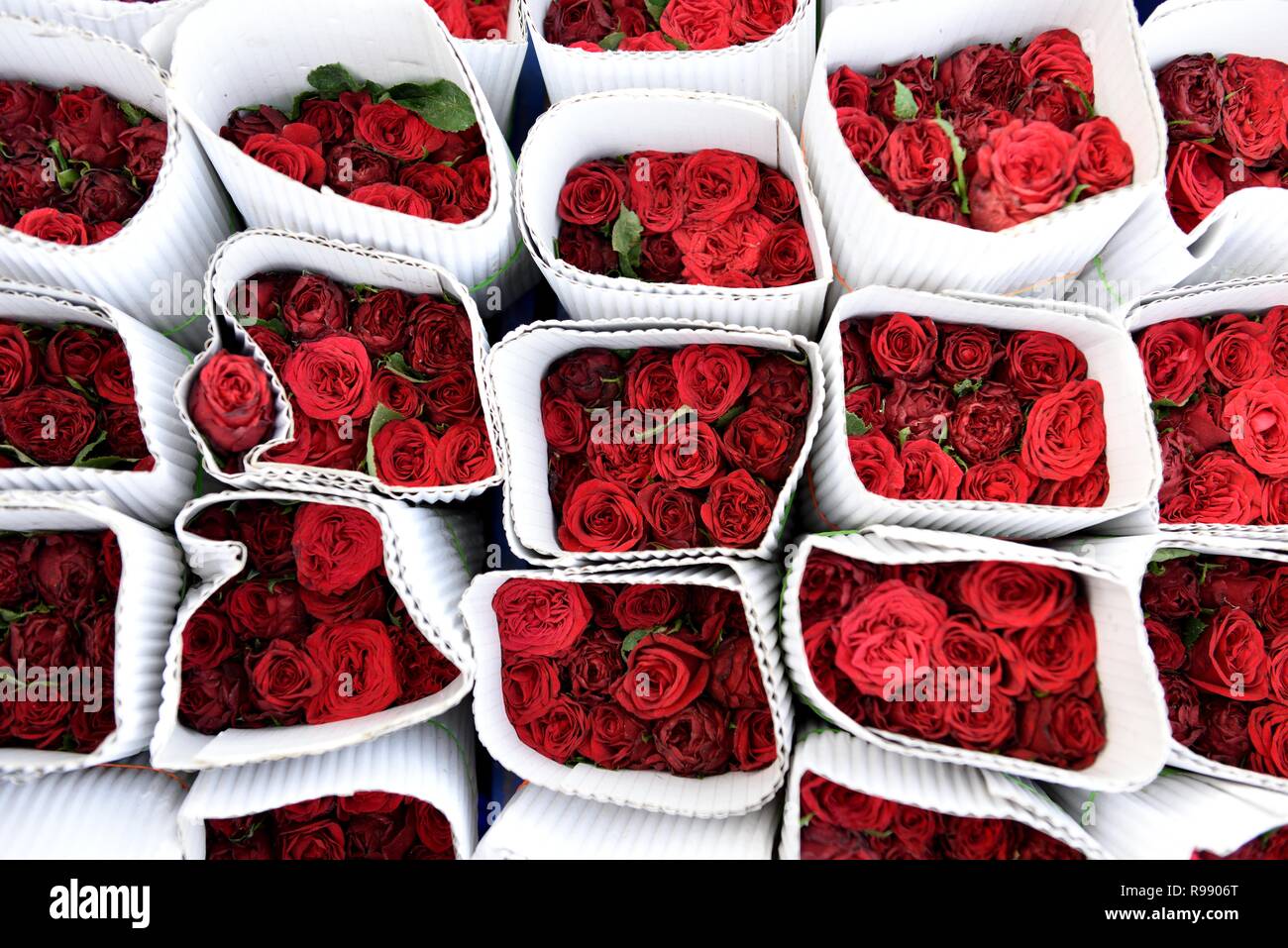 Long Bouquet High Resolution Stock Photography and Images Alamy