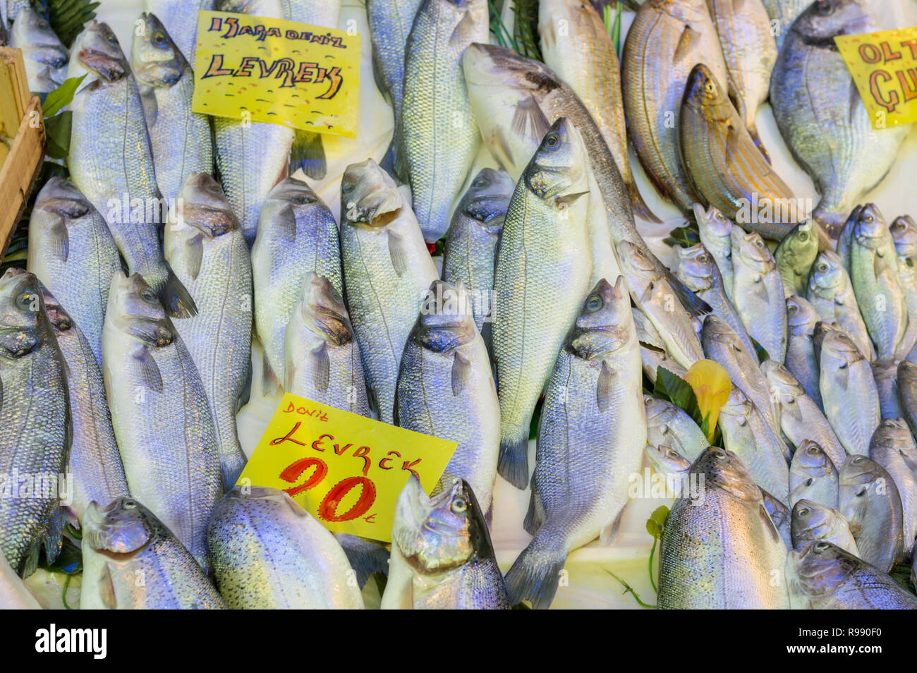 Pile of fresh sea bass fish with price tags on a counter in a fish
