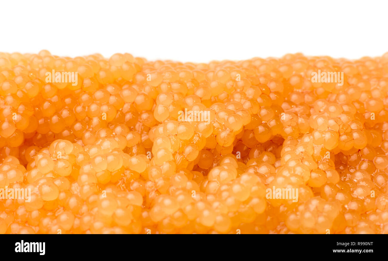 Unripe Northern pike roe with white background Stock Photo - Alamy