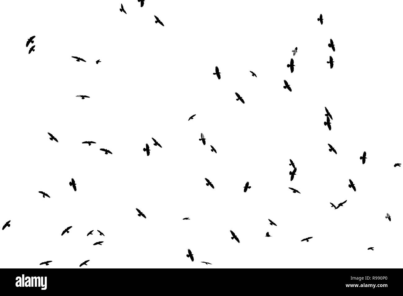 Silhouettes of crows on a white background Stock Photo