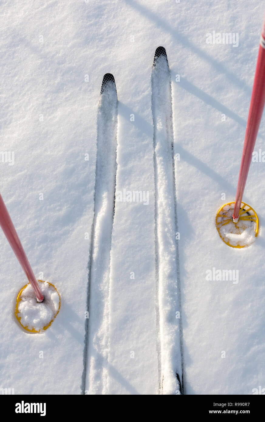 Off-track cross-country skis and ski poles on untouched white snow. Stock Photo