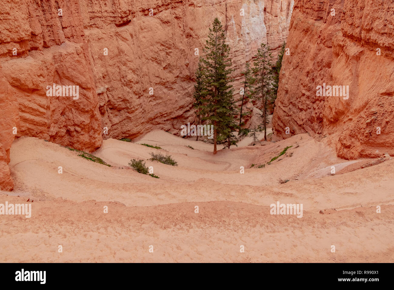 Switchbacks of the Queens Garden Trail at Bryce Canyon National Park in Utah Stock Photo