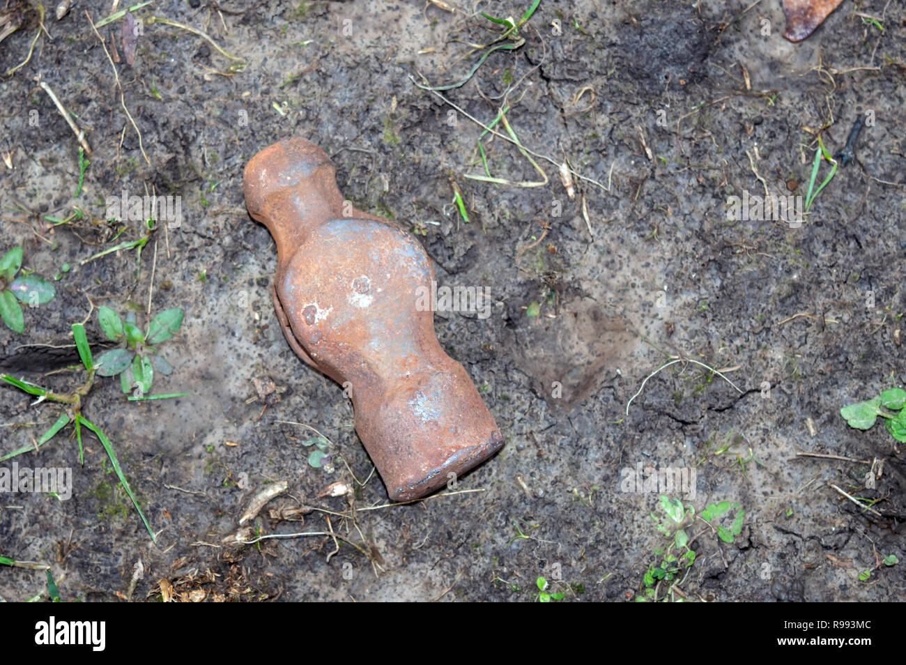 A close up look at a rusty ball peen hammer head that has been abandoned in the dirt. Bokeh background. Stock Photo