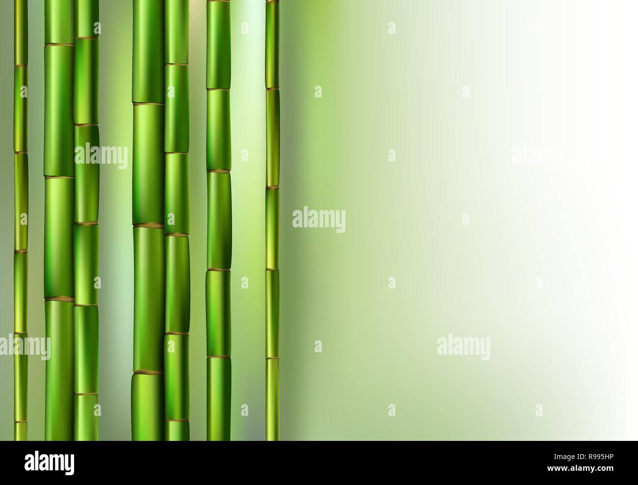 Green bamboo trunks background realistic vector illustration Stock Vector