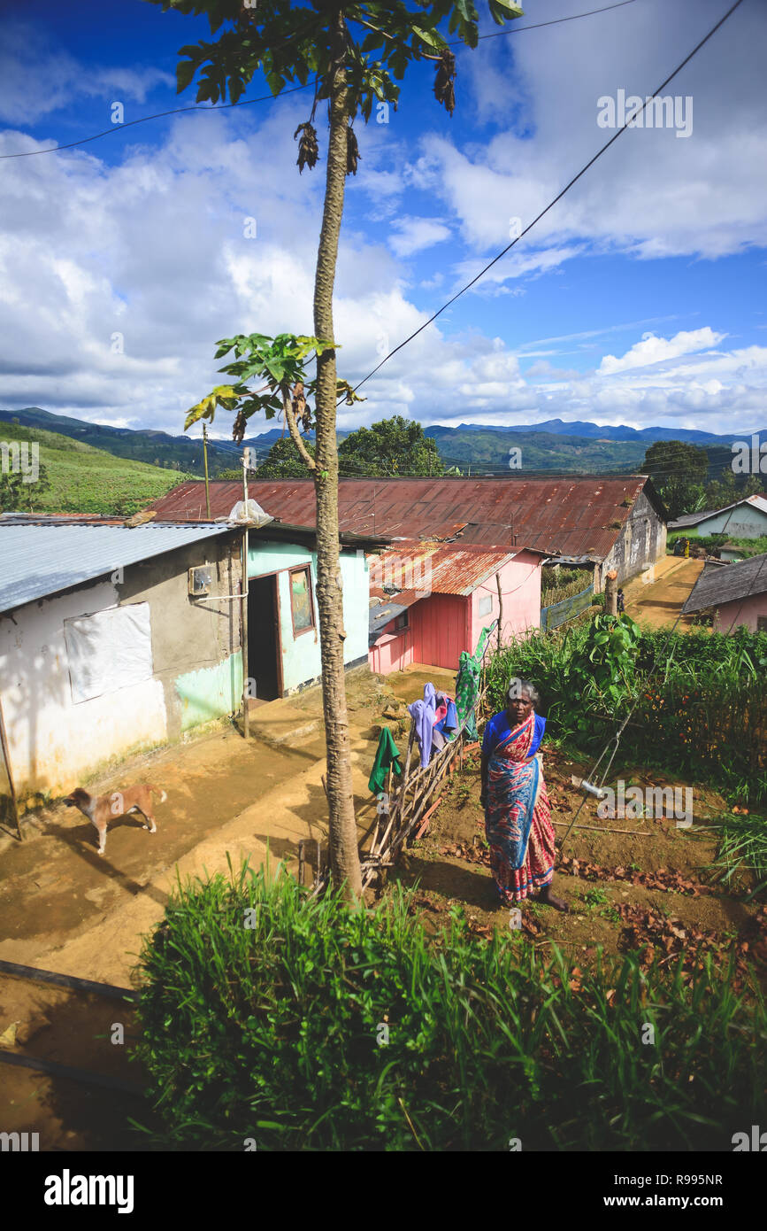 Portrait of elderly woman in her garden. Train ride from Kandy to Nuwara Eliya, Sri Lanka Stock Photo